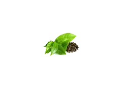 Black Tea Leaves