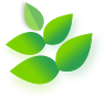Green leaves