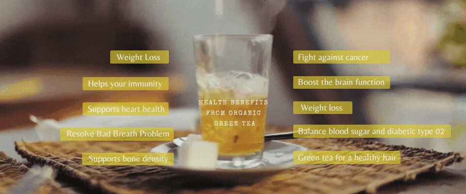 health benefits from organic green tea