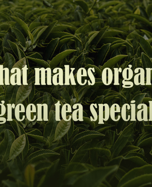 health benefits of organic green tea