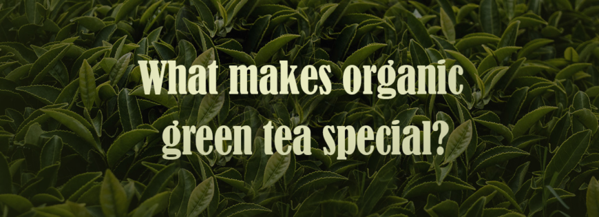 health benefits of organic green tea