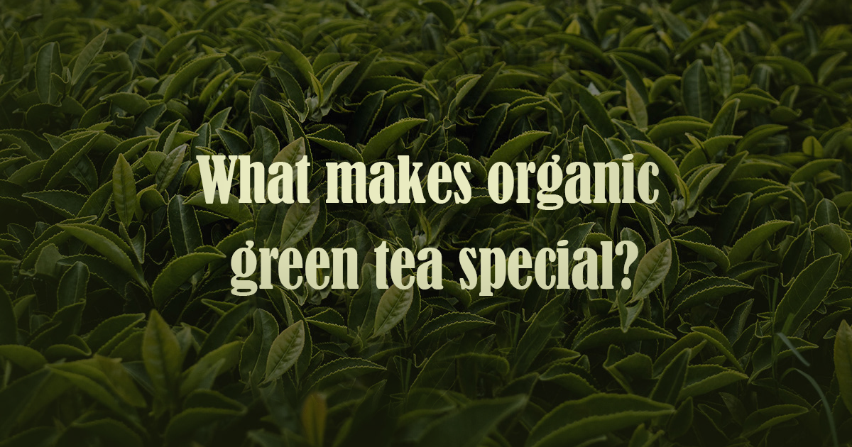 health benefits of organic green tea