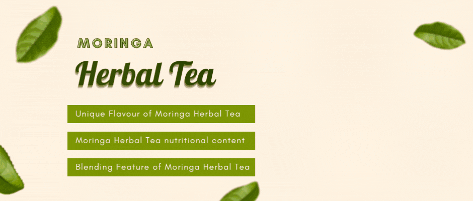 enjoy-the-best-moringa-teabags