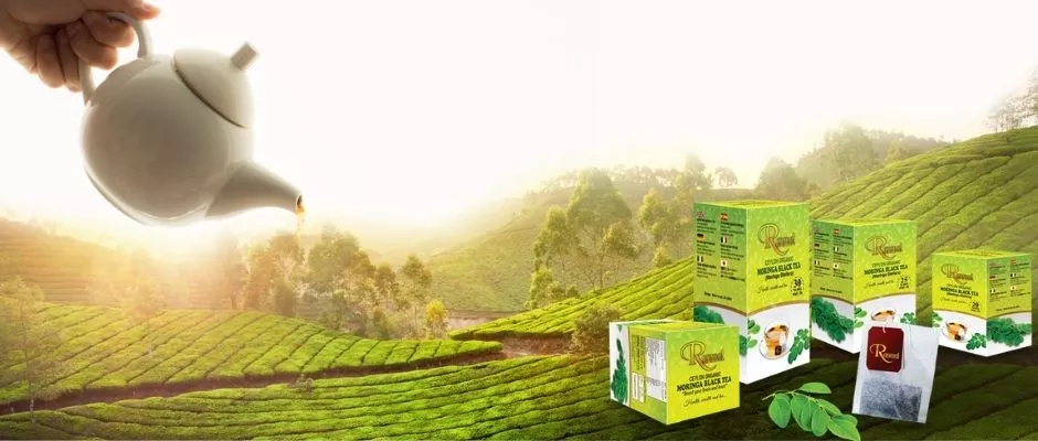enjoy the-best-moringa-teabags