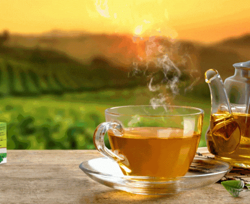organic-moringa-herbal-tea