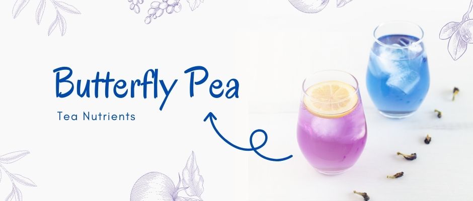 butterfly-pea-tea-nutrients