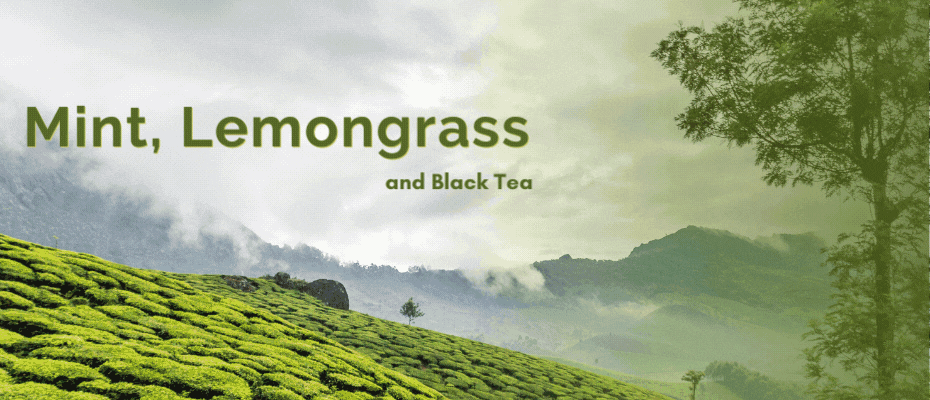 lemongrass-relax-tea