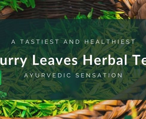 ceylon-curry-leaves-herbal-tea